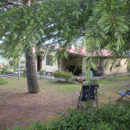 Le Stagioni Guest House Loreto Aprutino Luaran gambar