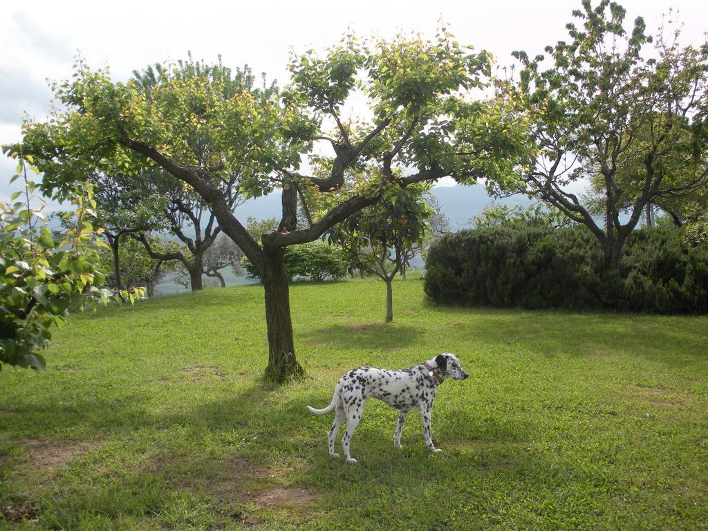 Le Stagioni Guest House Loreto Aprutino Luaran gambar